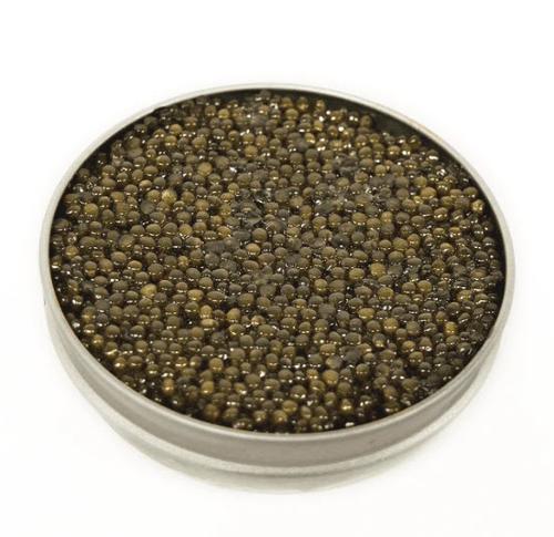 Caviar beluga