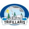 OLIVE GROVES AND OLIVE PRODUCTS TRIFILLARIS LTD