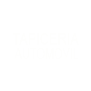 TAPICERÍA DEL AUTOMÓVIL VALENCIA