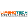 WUHU LIFENG PRECISION TECHNOLOGY CO., LTD