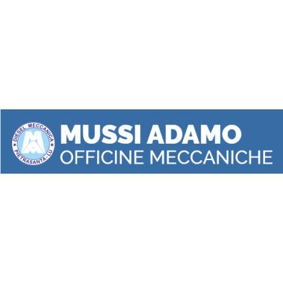 MUSSI ADAMO DI MUSSI ALESSANDRO & C. S.A.S.