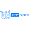 BERRY PARTNER