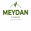 MEYDAN FLOWERS