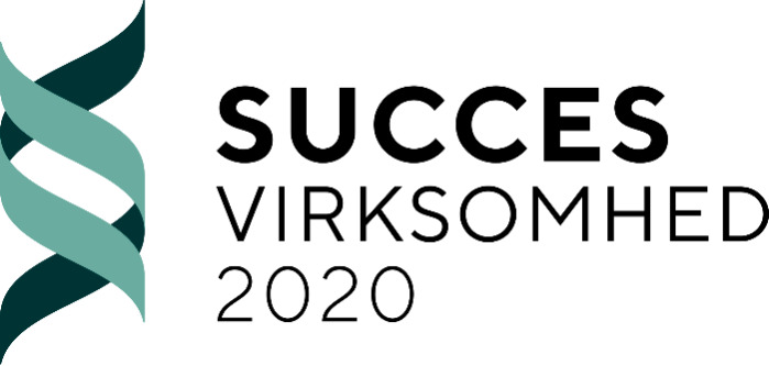 Succes company 2020