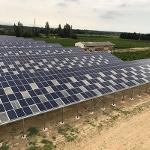Invernaderos fotovoltaicos
