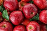Venta al por mayor de manzanas frescas