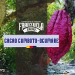Fèves cacao Cumboto-Ocumare