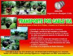 CABLEWAY SYSTEM PALM OIL
