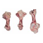 Huesos de fémur de cerdo congelados