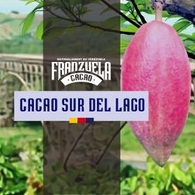 Fèves de Cacao Sur del Lago