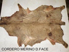Cordero Merino Salado double face
