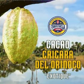 Cacao Caicara del Orinoco