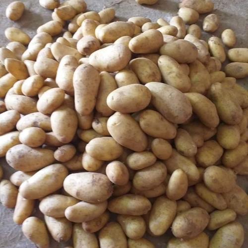 Patatas frescas