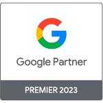 Consultor Google Ads