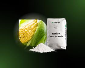 Almidón de maíz nativo 